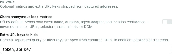 Pinar extension Capture tab showing optional loop metrics and extra URL keys to hide.